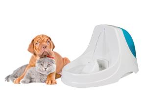 Wholesale CE RoHS Quiet Pet Water Fountain Environment Friendly Transparent PP from china suppliers