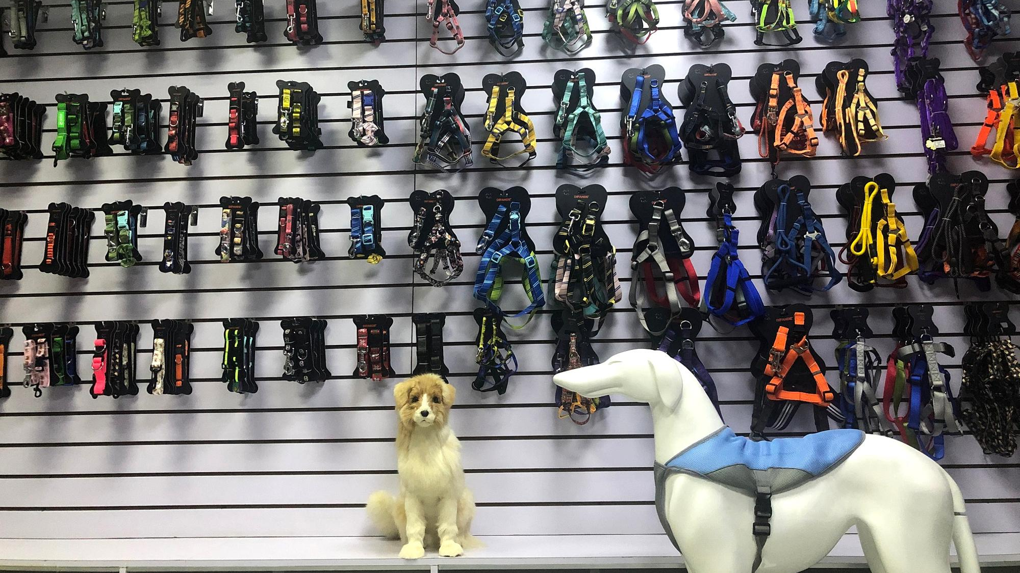 Polyester Personalized Pet Collars Adjustable Buckle Chain Pet Dog Collar