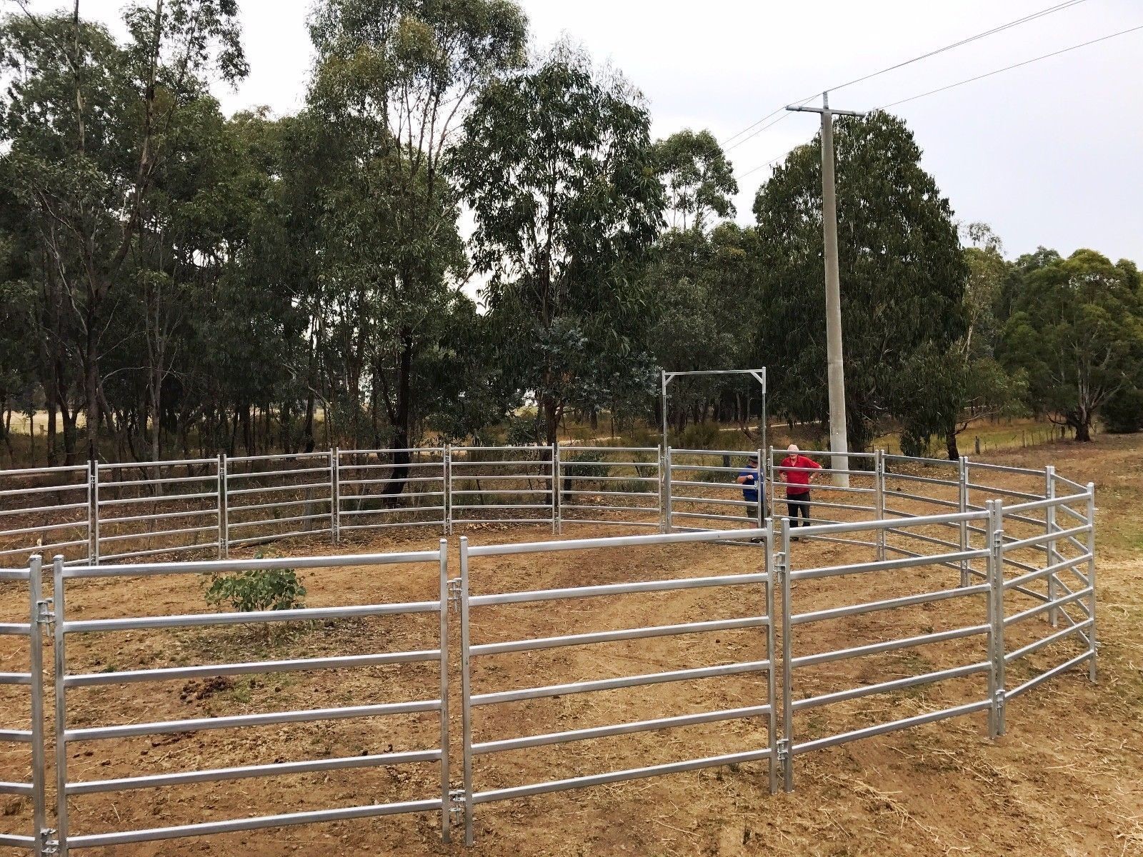 Round Corral Panels Yard Panels 1.5m Gate. Locking Pins. ". Victoria "