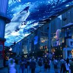Northern Lights Holographic Projection Sky Screen Immersive Projector For Museum