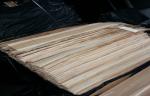 Natural Sliced Cut Discolored Birch Wood Veneers Sheet For Furniture