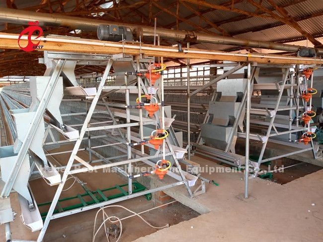 Full Automated 20000 Birds A Type Poultry Farming Cage System Emily