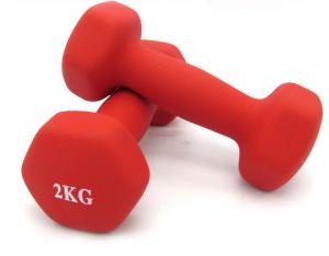Wholesale Color Gym fitness women Wholesale Custom Vinyl Dumbbell for sales from china suppliers