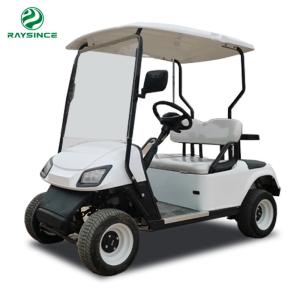 Wholesale China manufacture supply electric golf cart cheap price beautiful design golf trolley electric with 2 seats from china suppliers
