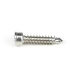 304 Stainless Steel Round Fillister Head Screw M6 Torx Screw with Customized