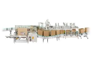Wholesale Drop Type Case Packer from china suppliers