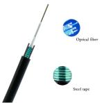 Aerial 2 4 6 8 10 12 24 Core GYXTW Single Mode Armored Fiber Optic Cable