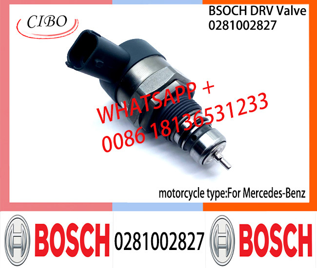 BOSCH DRV Valve 0281002827 Control Valve 0281002827 For Mercedes-Benz