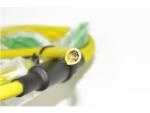 SC/APC Fiber optic 24core pre-terminated patch cable