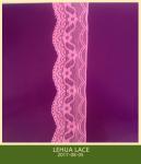 Hot Selling and nice quality Nylon Spandex Stretchy Brazil Lace from China