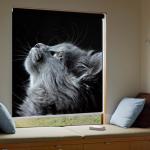 Love Heart 3D Printed Roller Blinds , Moisture Resistant Blackout Blinds