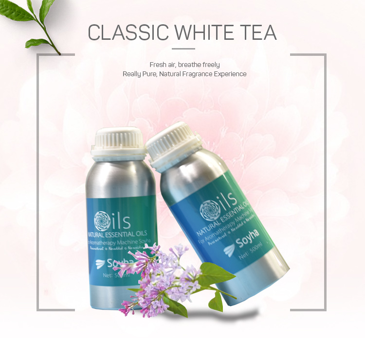 Hotel Natural Aromatherapy Oils / Electric Scent Diffuser Pure Aromatherapy Oils