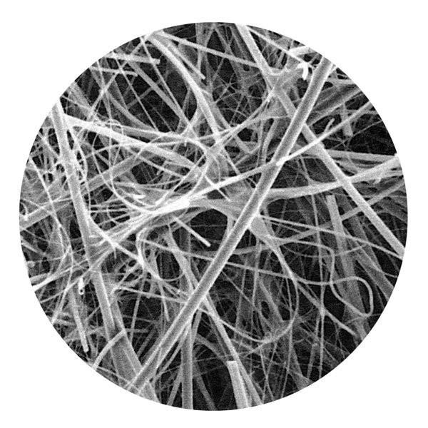 Microporous Hydrophobic Glass Fiber Membrane Filter Equivalent to GVS GF