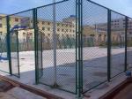 Pvc Coated Chain Link Fence , Diamond Mesh Wire Fence Galvanized For School