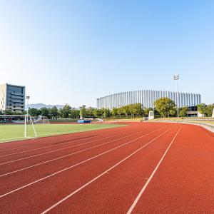 Wholesale Harmless Full PU Athletic Track Synthetic Outdoor Flooring Antifade from china suppliers