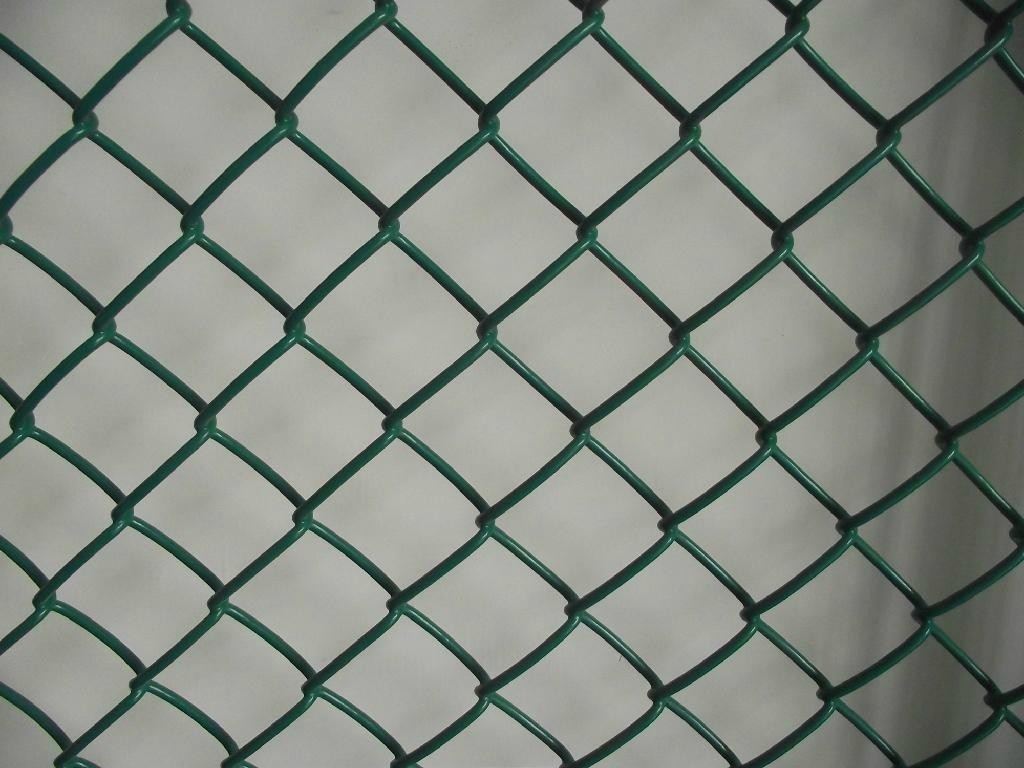2.5mm/1.5mm 50X50mm PVC Coated Chain Link Fence Wire Mesh Fence