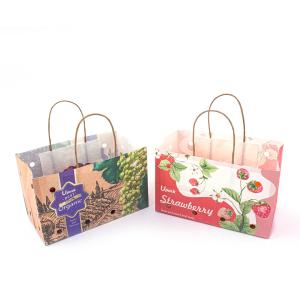 Wholesale Sustainable Wet Strength Kraft Paper Fruit Paper Bags Customized Carry Weight from china suppliers
