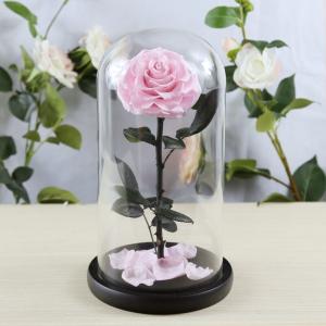 Wholesale Real Natural Fresh Big Rose Preserved Flower Preserved Everlasting Real Roses in Glass Dome for Sale from china suppliers