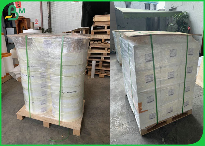 Glossy Waterproof 100μm PP Synthetic Paper For Making Jewelry Label 570 x 270mm