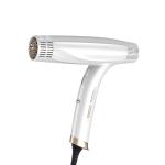 Foldable Brushless Hair Dryer High Speed Salon Brushless DC Negative Ion Hair