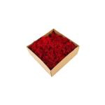 Stabilized Preserved Moss Balls , Luxury Dried Reindeer Moss Home Decor