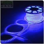 100m 230v AC led strip 5050 waterproof cuttable strips lights flexible blue