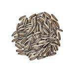 Amazon hot sale Wholesale best Quality China Manufacturer Sunflower seeds 363