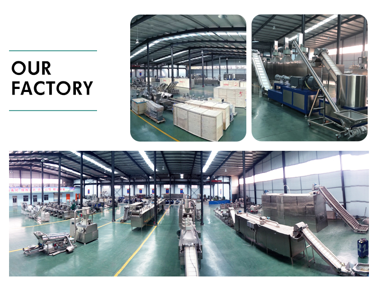 3000 KG Pet Food Processing Line for Large Scale Manufacturing in Food Beverage Shops