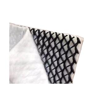 Wholesale 3D Composite Drainage Network 5mm The Optimal Choice for Landfill Drainage Length 50m from china suppliers