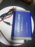 Electric Vehicle E-bike Scooter 12V 10A 24V 5A Automatic Portable Car Battery
