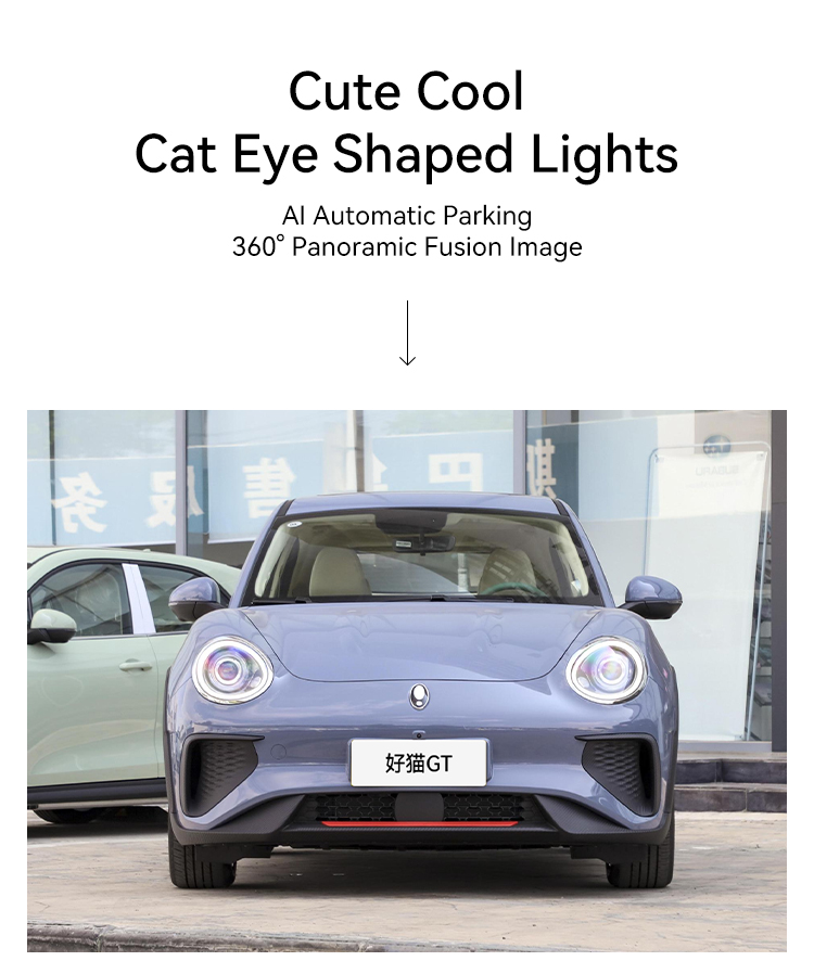 2650mm Wheelbase ORA Funky Cat GT/ORA Funky Cat Balei Mao Energy Vehicles Pure Electric 171hp Electric Utility Vehicle