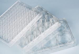 Wholesale Suspension Cell Culture 24 Well Plate Medical Lab Consumables Sterile from china suppliers