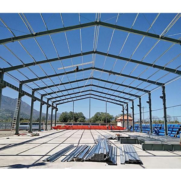 Versatile Prefabricated Steel Sheds - Customized Workshop and Warehouse