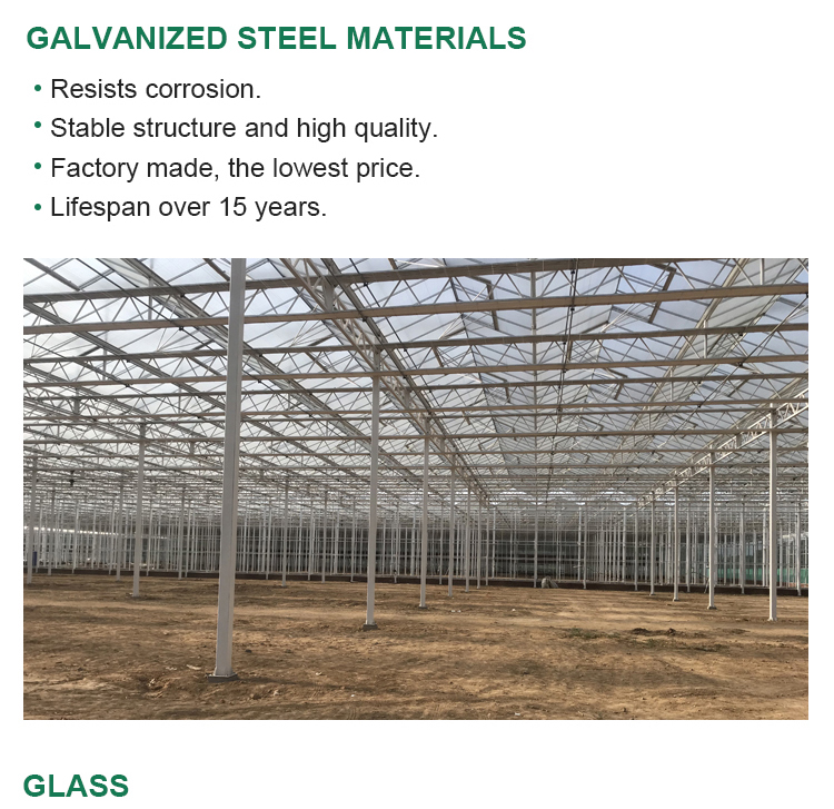 Stable Structure Glass Greenhouse for Growing Vegetables Tomato Skeleton Greenhouse