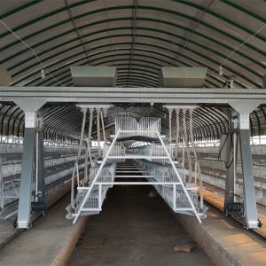Wholesale A Type Full Automatic Battery Chicken Cage Cold Galvanized For Farm from china suppliers