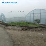 High Tunnel Vegetables Planting Single Span Vegetable Tunnel Plastic Film