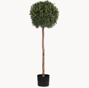 Wholesale Eco Friendly Artificial Potted Floor Plants Boxwood Single Trunk from china suppliers