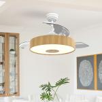 European Style BLDC Ceiling Fan 42 Inch Retractable Ceiling Fan With Light And