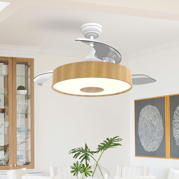 European Style BLDC Ceiling Fan 42 Inch Retractable Ceiling Fan With Light And