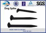 ISO Certificate Railroad Track Spikes / Rail Dog Spike For Timber Sleeper