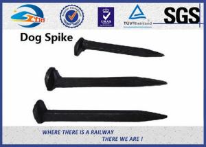 Wholesale Track Carbon Steel 4.8 Grade Railway Dog Spikes AREM Q235 from china suppliers