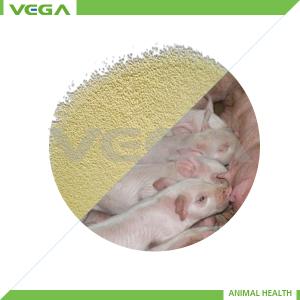 Wholesale Kitasamycin 10%/50% Veterinary Products from china suppliers
