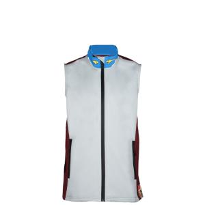 Wholesale Customized Logo Printing Polyester Wicking Softshell Running Vest for Motor Team Men from china suppliers