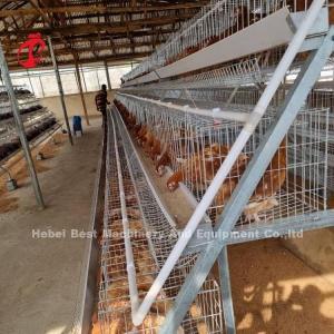 Wholesale Fully Automatic 80-100kg Heavy Duty Layer Poultry Cage System With Sliding Door Rose from china suppliers