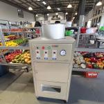 Dry Electric Garlic And Ginger Peeling Machine 30kg/H