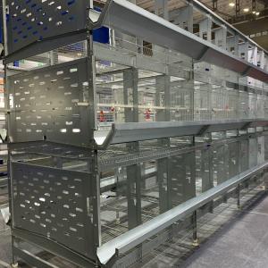 Wholesale 128 Birds Poultry Battery Cage With Auto Egg Collector from china suppliers