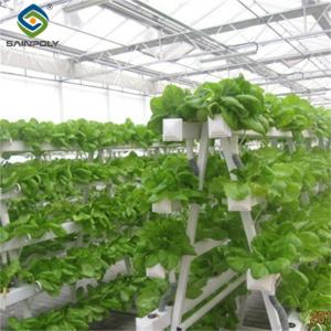 Wholesale Sainpoly Hydroponic Lettuce Greenhouse Tunnel Green House Customized from china suppliers