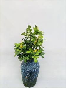 Wholesale 20CM Height Artificial Gardenia Bush Home Garden Table Decor from china suppliers