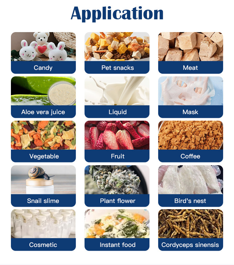 60-70 Kg/Batch Food Fruit Vegetable Large Freeze Dryer Commercial Freeze Drying Machine