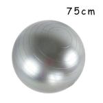 RoHS Approval Anti Burst Yoga Stability Ball , 75 Cm Fitness Ball For Whole Body